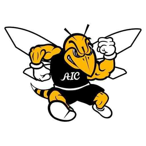 American International Yellow Jackets Hockey